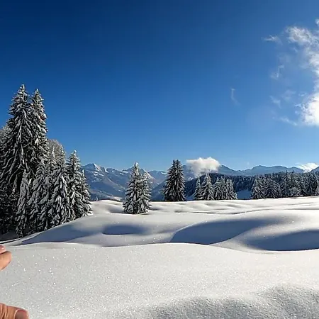 Loch673 Appartamento Schwarzenberg im Bregenzerwald